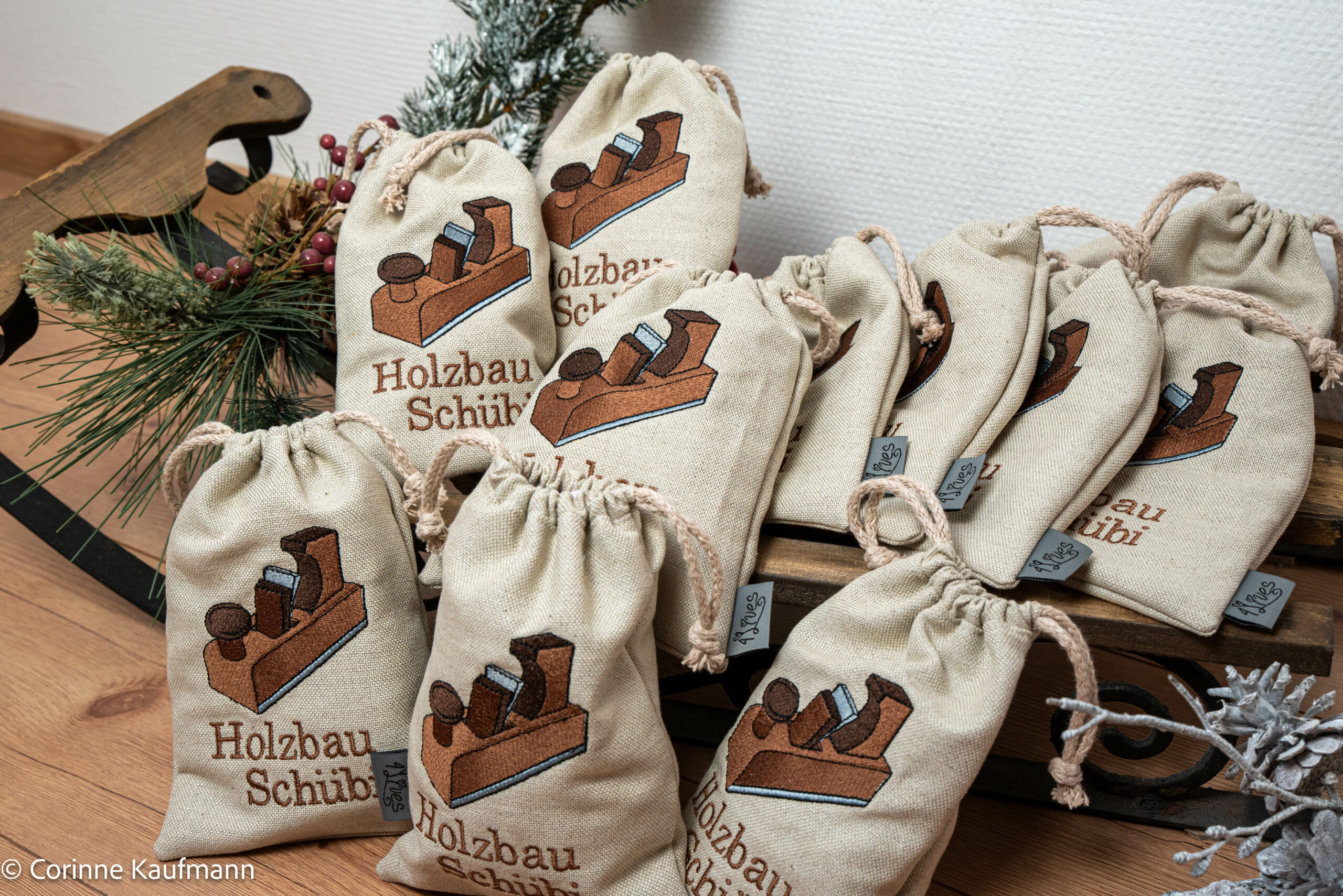 Holsbau Schübi-5843